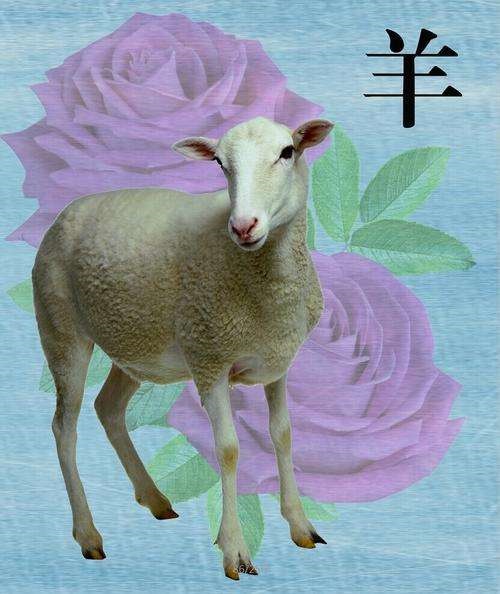 羊年取什么名字好,2022 鼠年取什么名字好