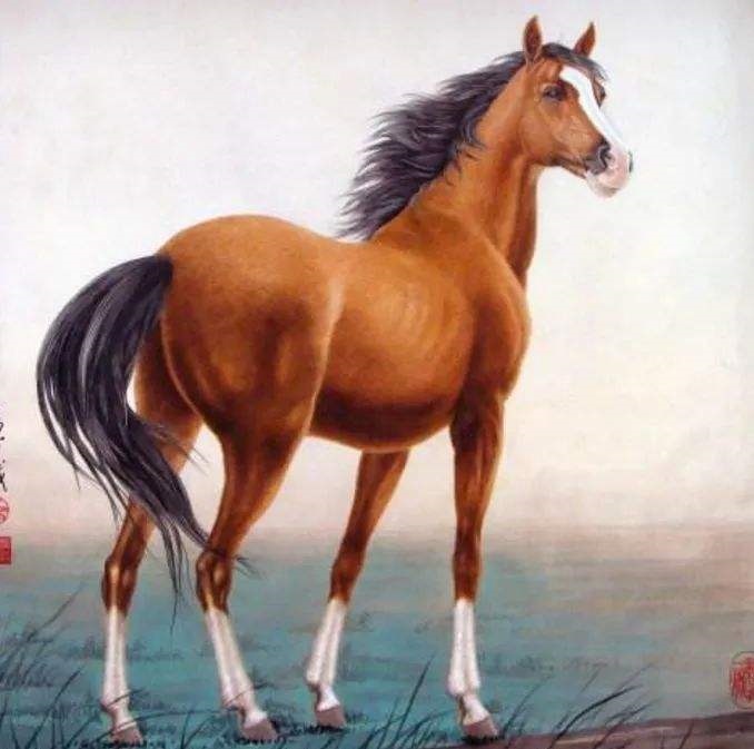 8年属马42岁以后事业，1986年属虎人2022