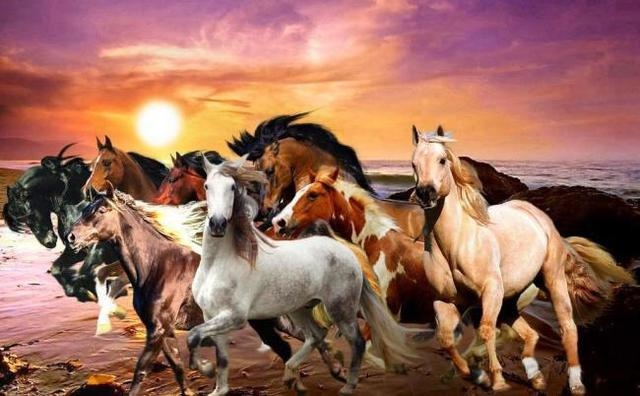 属鸡的相克生肖是什么，属鸡人一生最旺3个人