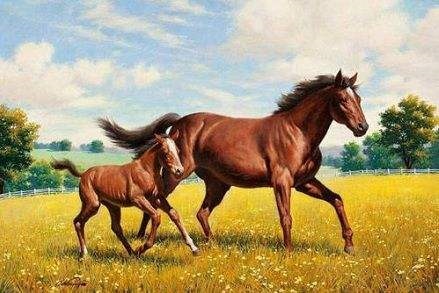 属马男2022年结婚好不好，属马女2022年几月份结婚好