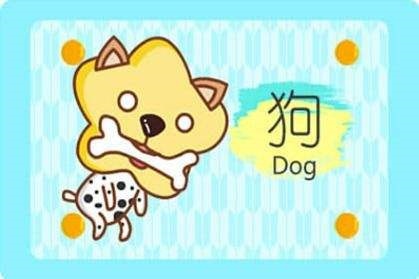 022年出生属狗一生运势，2022年出生的虎宝宝几月更好"