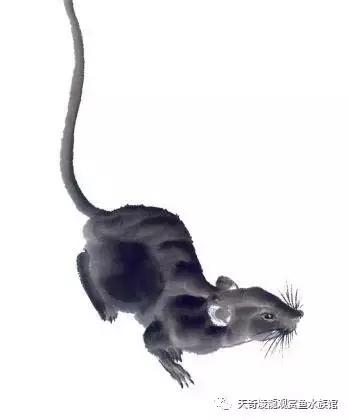 022年下半年最倒霉的生肖，2022年最倒霉的生肖女"