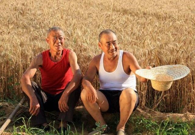 鼠和羊不能结婚吗，属鼠与属羊对谁不利