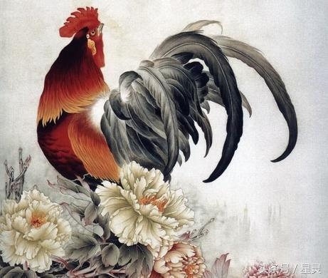 为什么属鸡的贵人是马，千万别嫁属鸡男