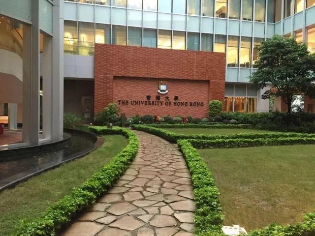 猪人遇虎年2022，猪人遇虎年的运气