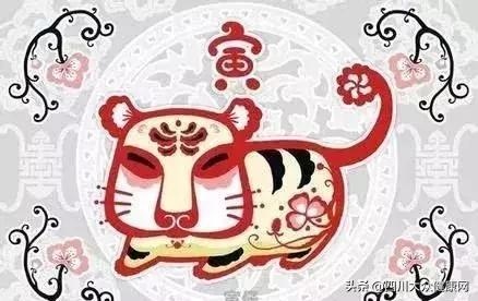 属猪人遇什么年财运最旺，71年属猪的偏财运