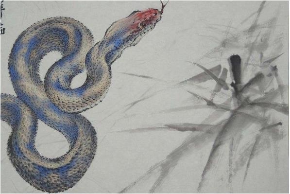 属蛇一生的贵人和克星，77年属蛇的终身寿命