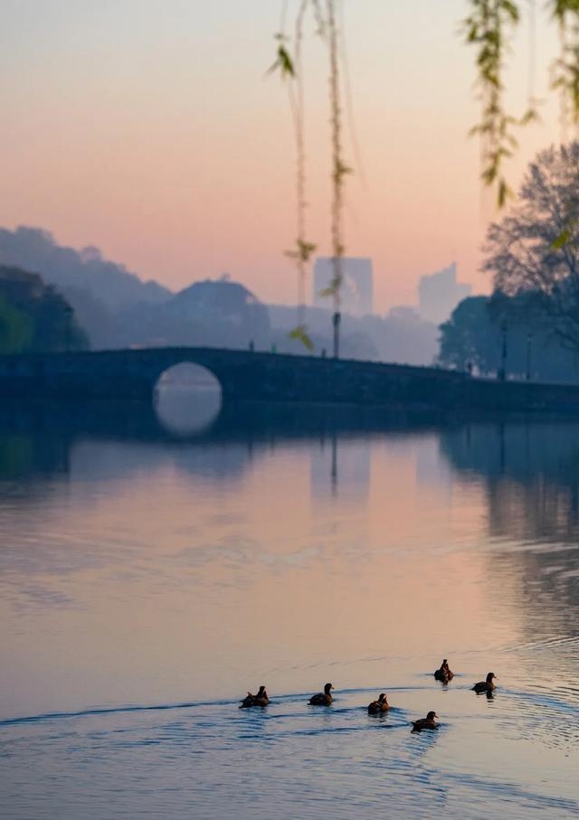 一月出生的牛是什么命，十月的牛女是什么命