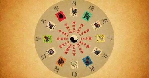 每日十二生肖运程，十二生肖今日运势财运