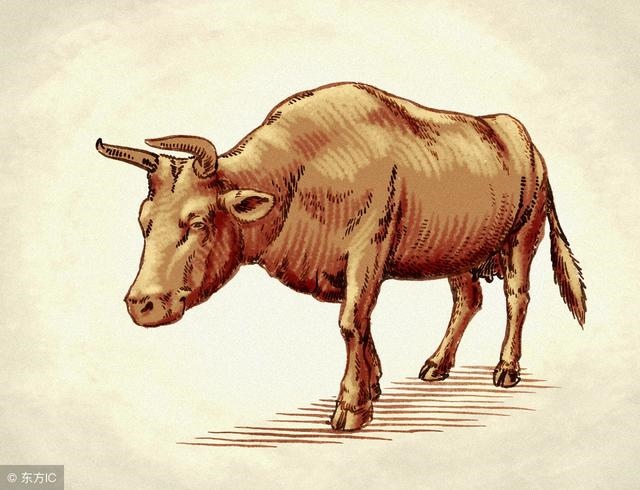 8年属马一生三大劫,88年龙女一生三大劫"