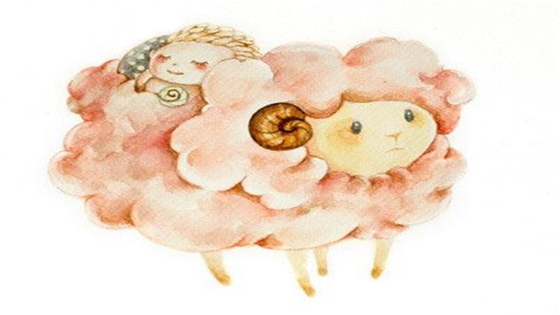 属羊女和属鸡男的相配吗，91属羊和93属鸡的配吗