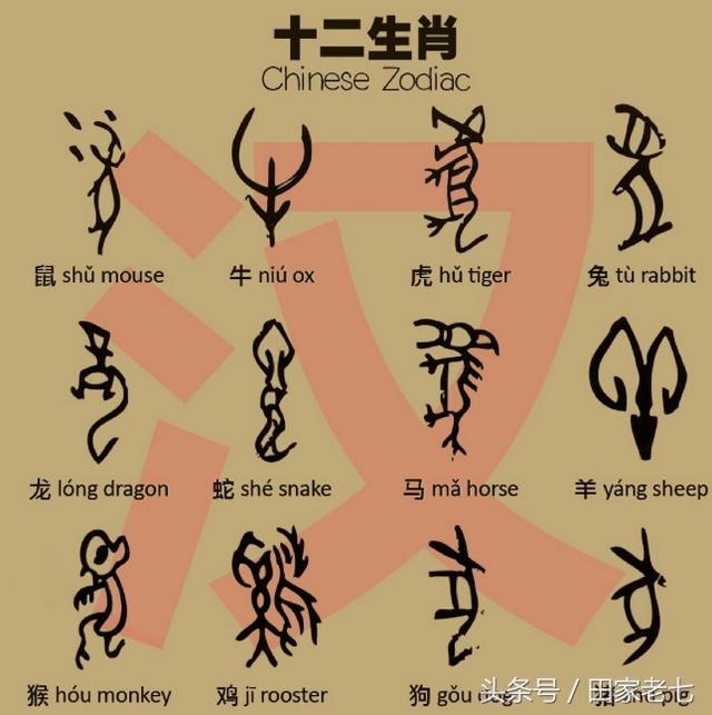 属狗属羊是上等婚姻,男牛女猴属于上等婚姻