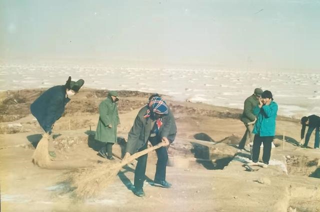 003属羊女孩学业方位，2003年出生的在2022"