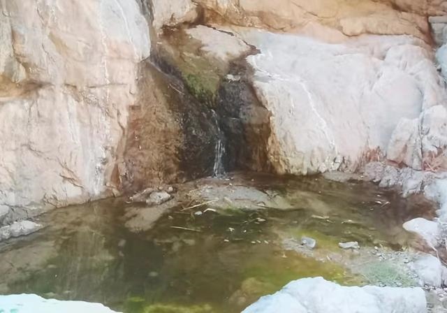 003属羊女孩学业方位，2003年出生的在2022"