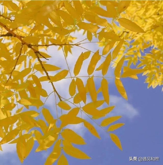 男人分手后不做朋友说明什么，分手后认为对方不值