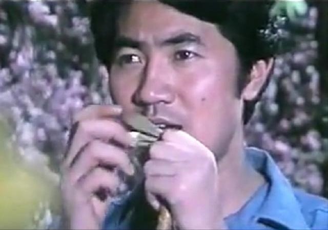 猴和鸡结婚注定离婚，猴男和鸡女会幸福吗