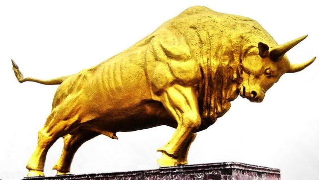 本命年的牛今年运势如何，2022年属牛运势