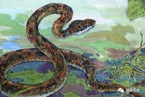 属蛇年龄表2022,属蛇2022年运势及运程