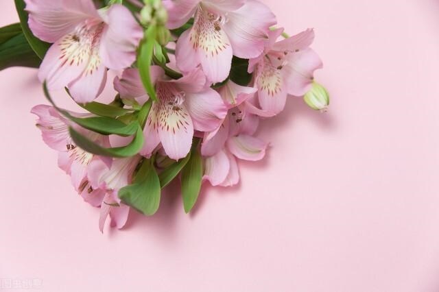 星座运势每日更新查询2022年，2022年星座运势完整版