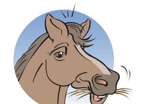 属马和什么犯冲,属马的什么时候犯太岁