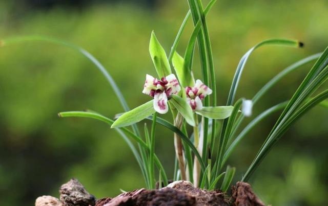 每个人的财运是注定的吗，一个人一个命