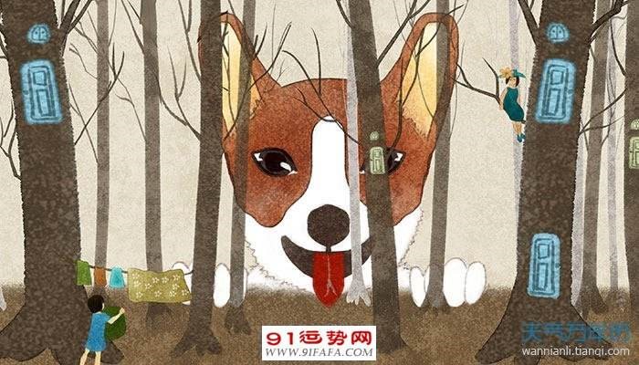 022年生肖属狗运势,1958年女2022年运势"