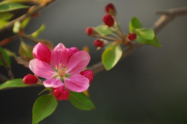 988年属龙女2022年运势，1988年龙2022年运势完整版"