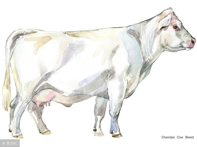 8年属马一生三大劫,88年龙女一生三大劫"