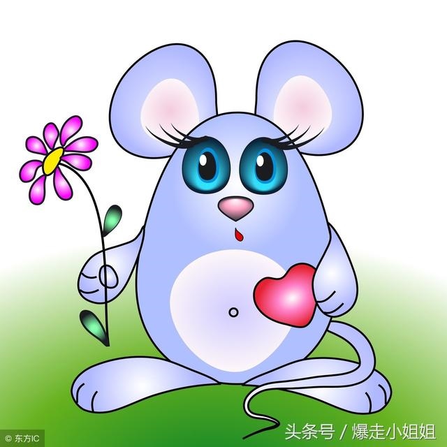 980猴的大运之年,1980属相"