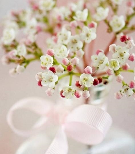 今天什么生肖的财运更好，今日财运最旺的生肖