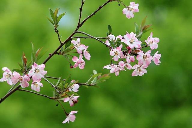 988年属龙女2022年运势，1988年龙2022年运势完整版"