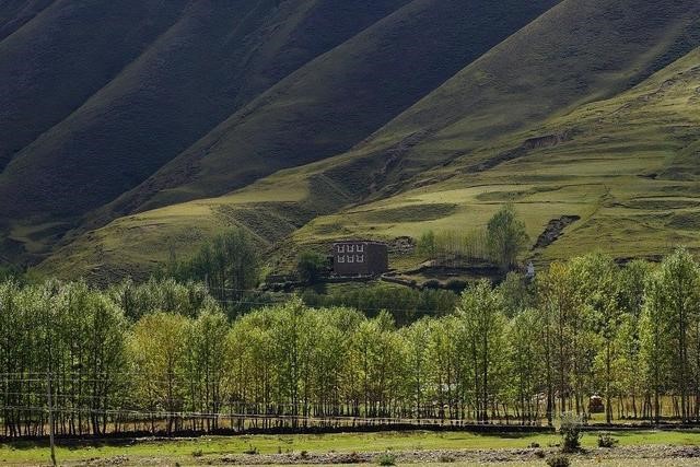 射手座2022年每月运势详解，属兔射手2022