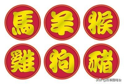 属羊的女人命不好 ，属羊的女孩子命不好吗