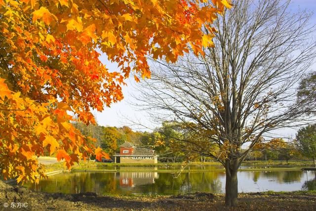 女人八字带羊刃桃花劫，羊刃桃花怎么化解