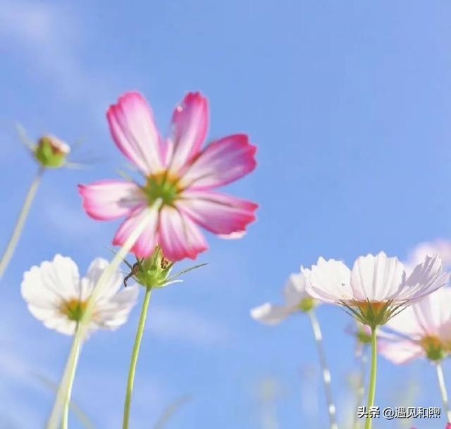 男人分手后不做朋友说明什么，分手后认为对方不值