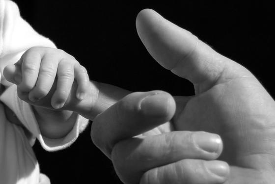 属虎男属羊女羊入虎口，属羊生属虎的孩子