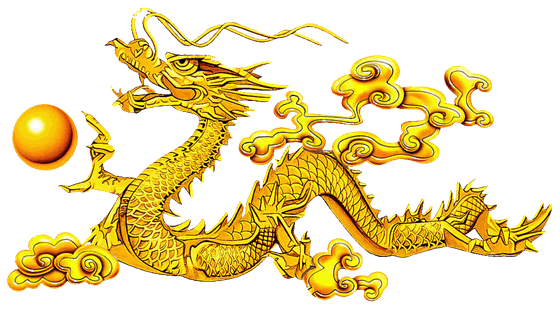 4狗男和95猪女婚姻怎么样,95年男配94年女适合吗"