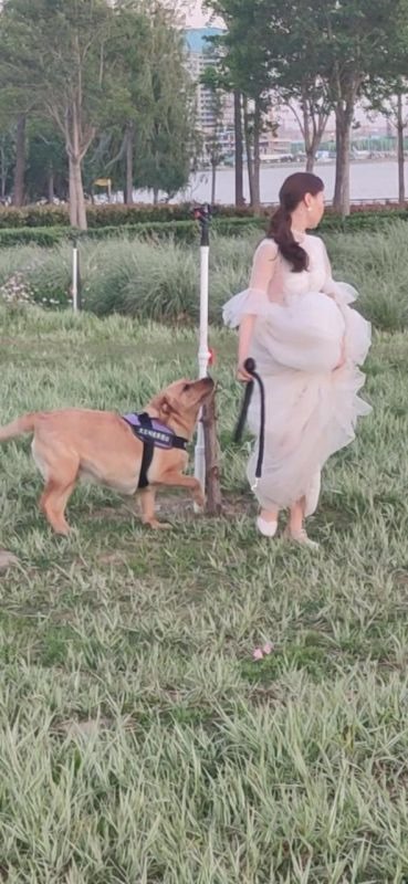 养羊知识必备大全，养羊常备药使用 ***