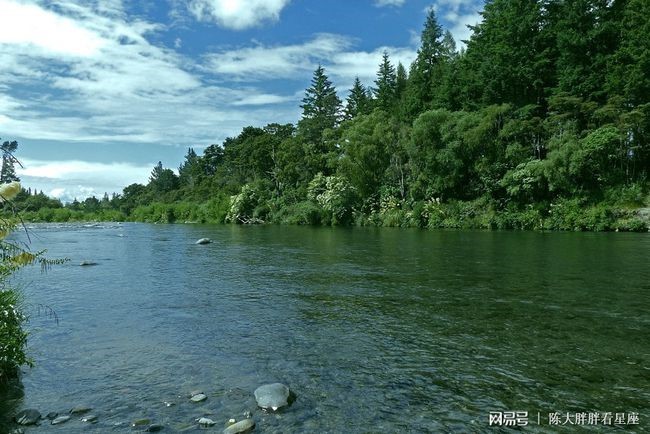 十二生肖今日运势查询易安居，今日运势查询新浪