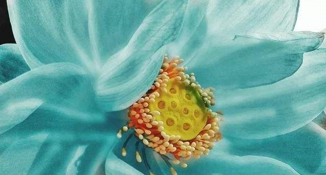 003年属羊幸运颜色,2003年属羊的幸运数字"