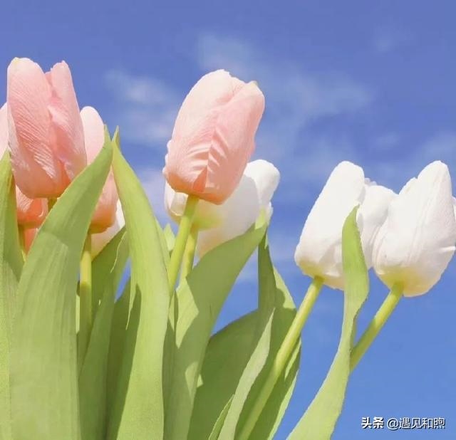 男人分手后不做朋友说明什么，分手后认为对方不值