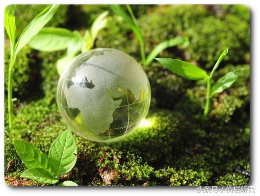 属羊的在牛年生了宝宝怎么办，属羊生牛宝宝讨债鬼