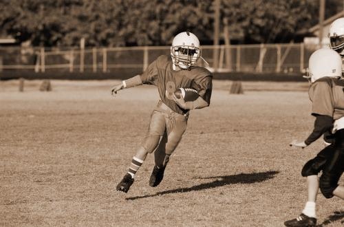 属羊的最怕的三个生肖男，79年属羊何时走大运