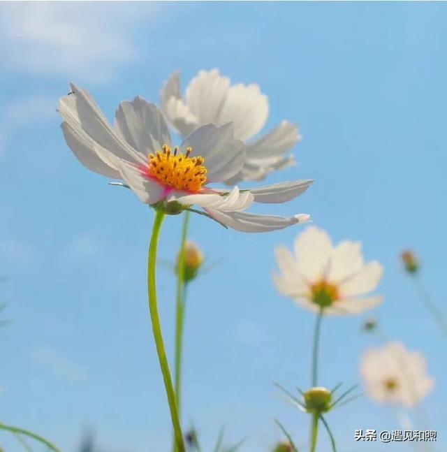 男人分手后不做朋友说明什么，分手后认为对方不值