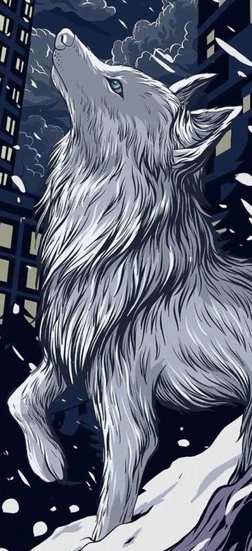 图片十二生肖图片高清，十二生肖猴图片大全大图