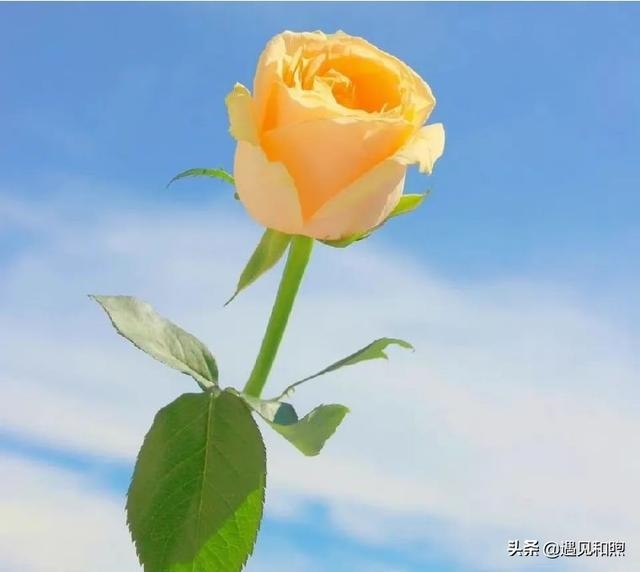 男人分手后不做朋友说明什么，分手后认为对方不值