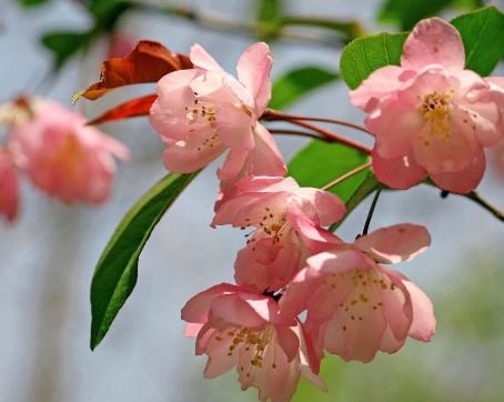 测试自己的命运免费，测试未来的自己的命运