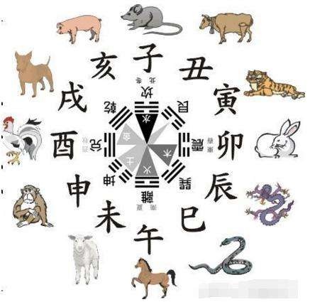 属蛇的克星更大的是，属蛇一生远离属龙人