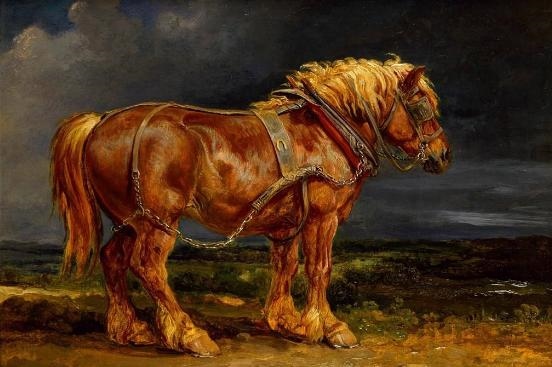 属马的31岁命运如何,十二生肖婚姻配对大全