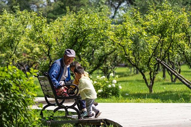 022年中国标准年龄段划分，中国年龄阶段划分标准"